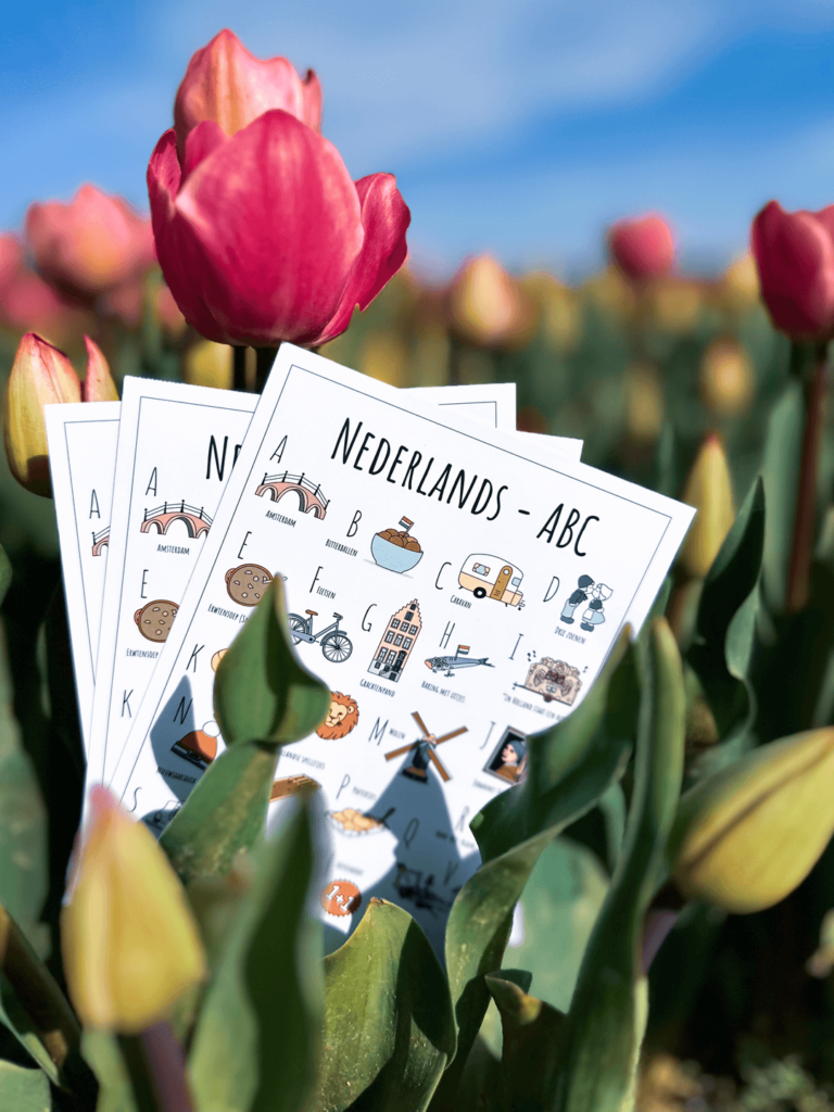 PosterPlaats ansichtkaarten Nederlands ABC ansichtkaarten Nederland tulpen tulpenvelden Noordoostpolder