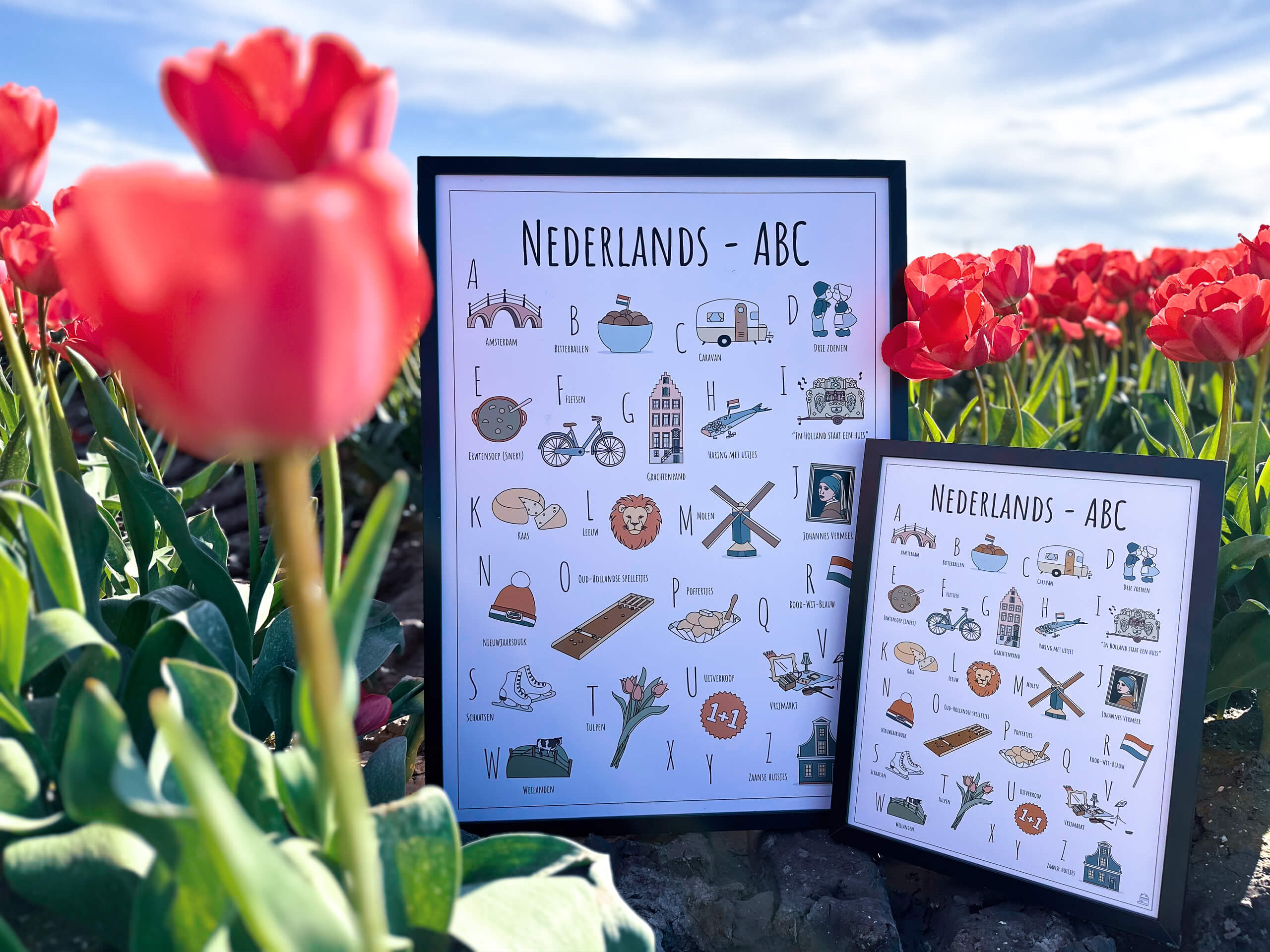 PosterPlaats poster Nederlands ABC poster Nederland tulpen tulpenvelden Noordoostpolder
