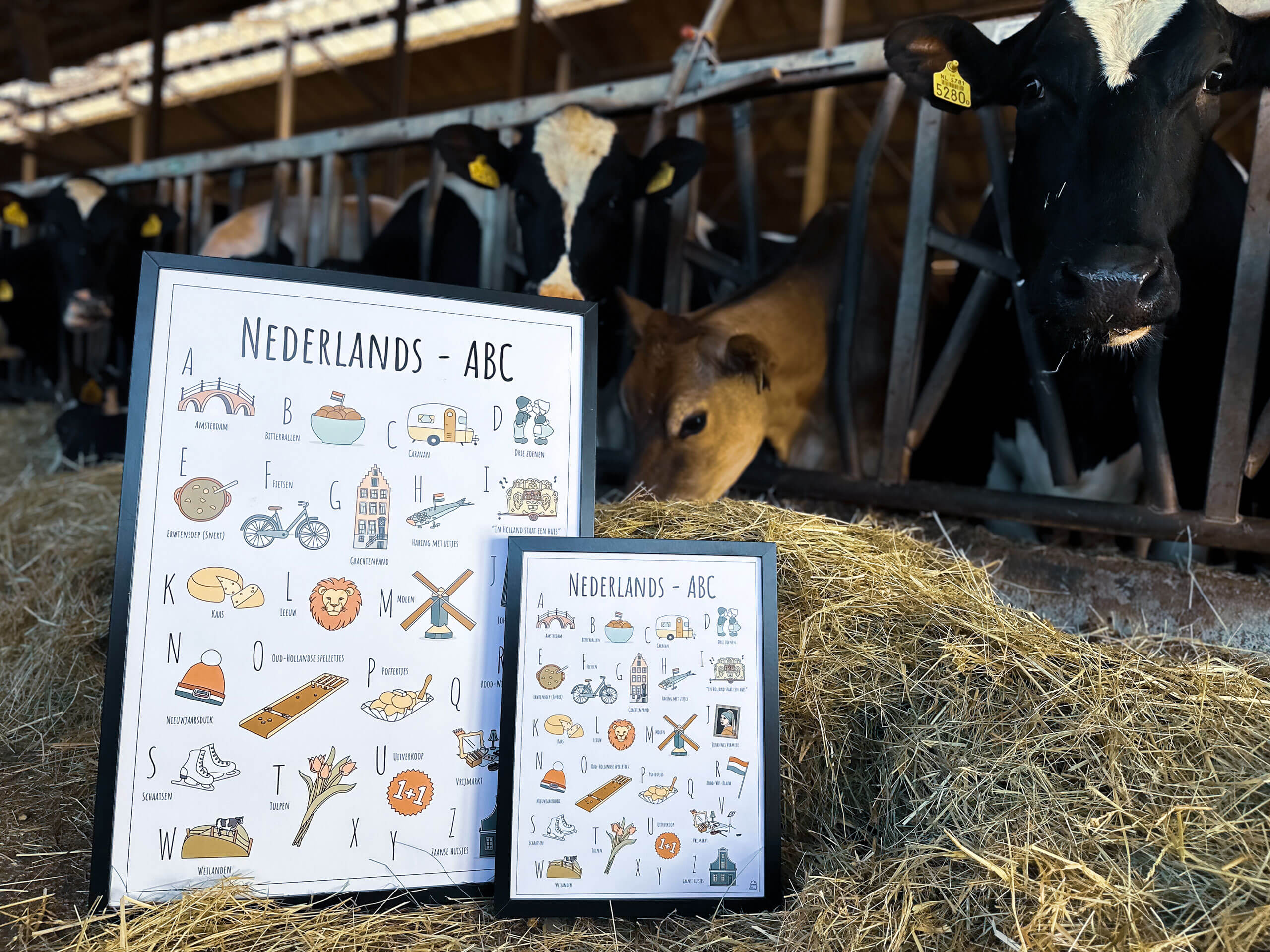 PosterPlaats poster Nederlands ABC poster Nederland koeien stal weiland