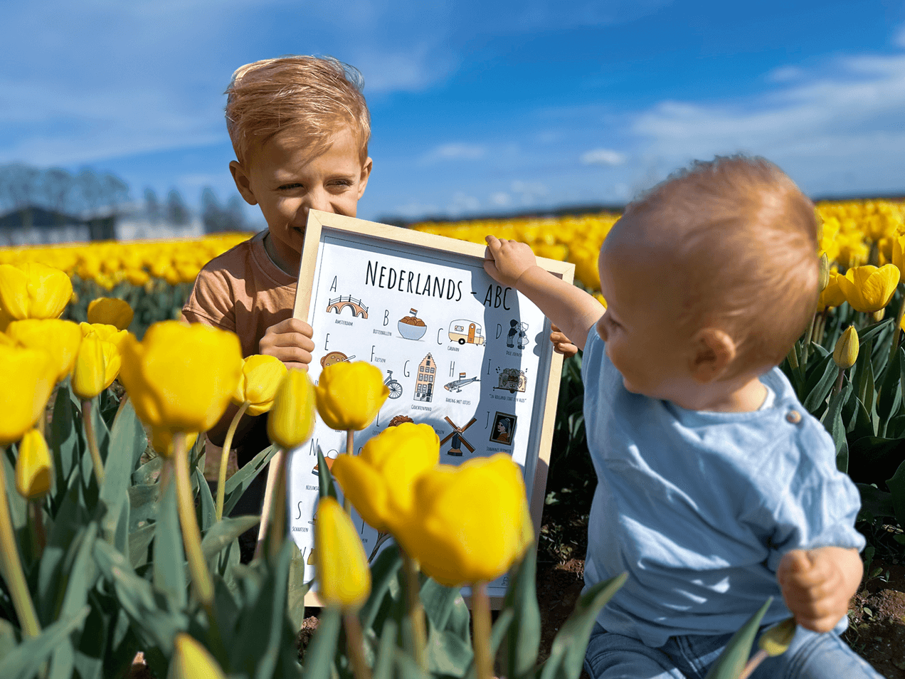PosterPlaats poster Nederlands ABC poster Nederland tulpen tulpenvelden Noordoostpolder Floris en Valentijn