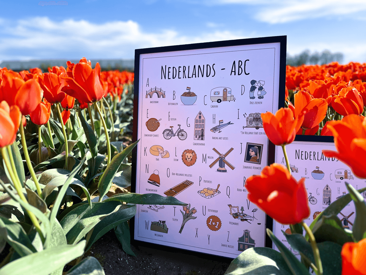 PosterPlaats poster Nederlands ABC poster Nederland tulpen tulpenvelden Noordoostpolder