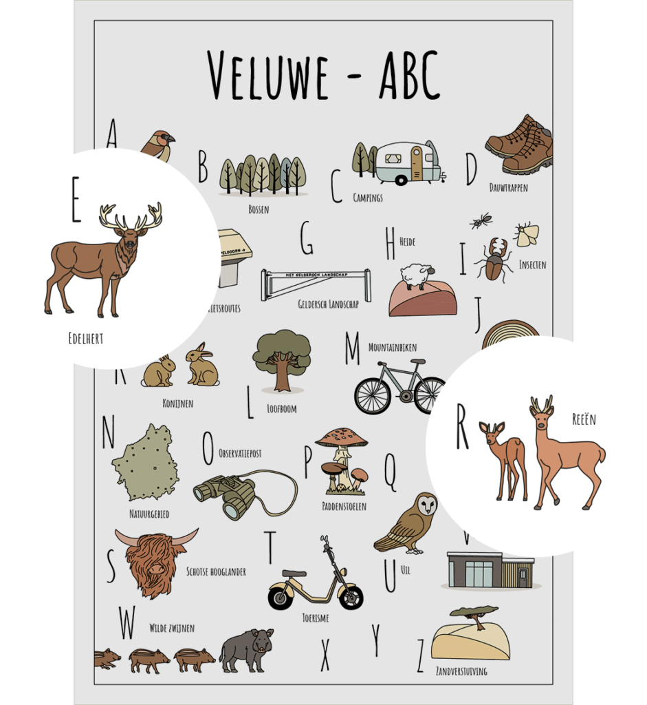 ABC ansichtkaart Veluwe met twee uitgelichte herkenbare objecten uit de omgeving Edelhert en Reeën