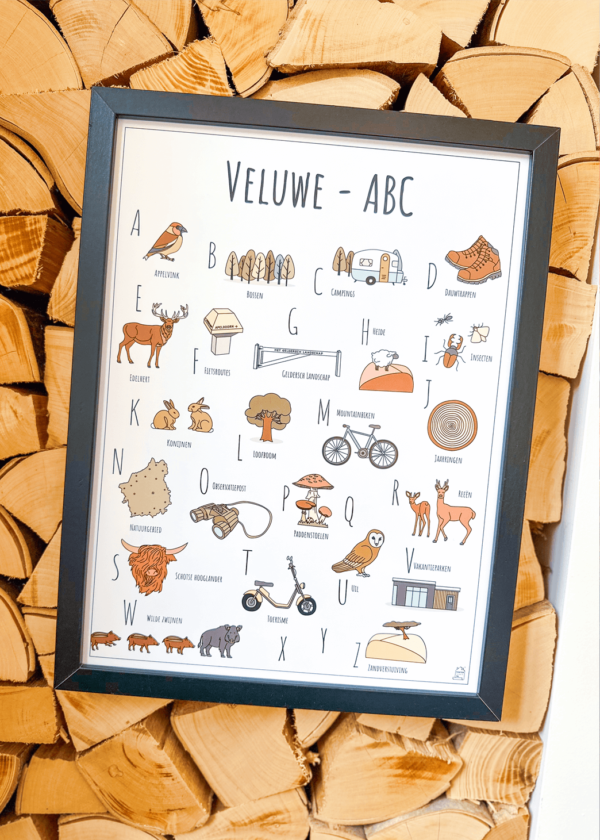 ABC poster Veluwe - Een unieke stadsposter met herkenbare en handgetekende illustraties van de Veluwe product afbeelding