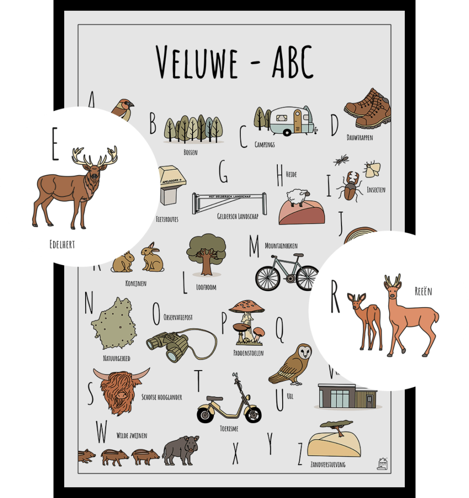 ABC poster Veluwe met twee uitgelichte herkenbare objecten uit de omgeving Edelhert en Reeën