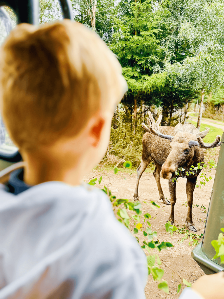 Blog over terug van summerbreak Floris met een rendier