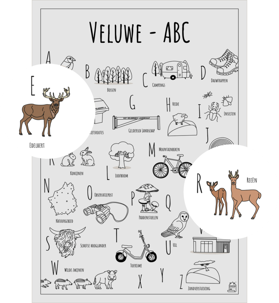 ABC kleurplaat Veluwe met twee uitgelichte herkenbare objecten uit de omgeving Edelhert en Reeën