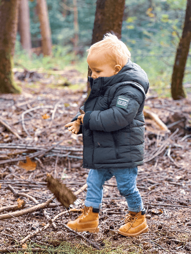 Blog over Burendag bij Verzorgingshuis Bathanië in Ede wandelen door het Sysseltse bos en kastanjes zoeken