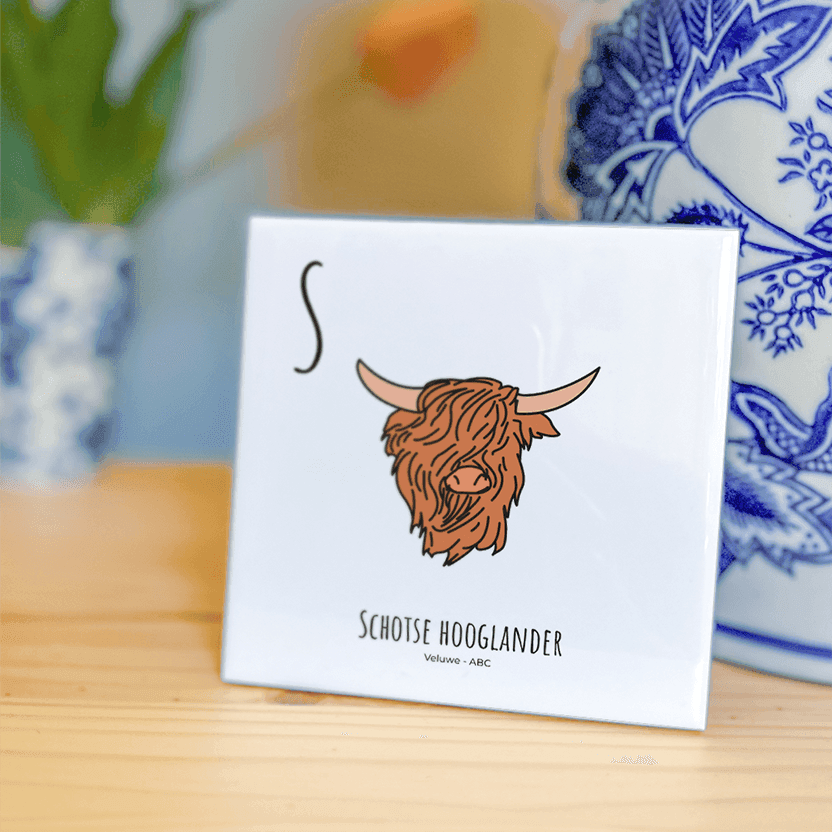 PosterPlaats ABC tegeltje Veluwe met schotse hooglander als leuk lokaal cadeau of relatiegeschenk