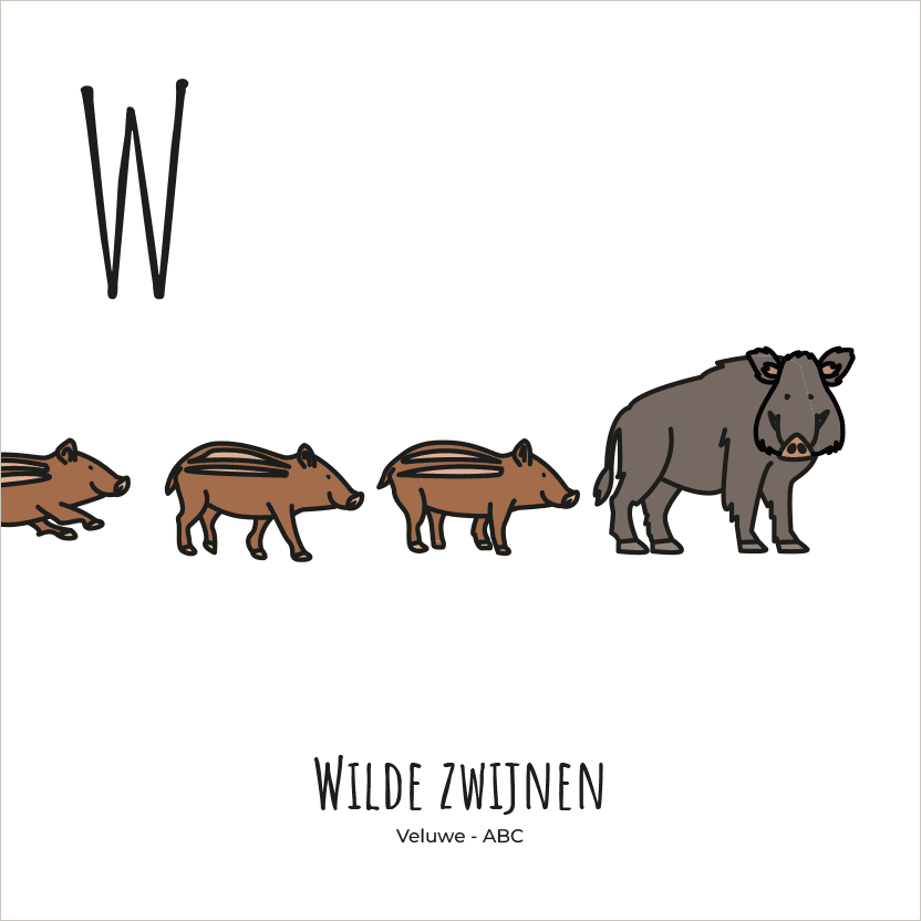 PosterPlaats ABC tegeltje Veluwe met wilde zwijnen als leuk lokaal cadeau of relatiegeschenk
